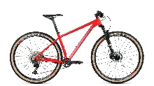 фото Велосипед Format 1122 29 (2021) интернет-магазина bikedivision