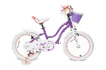 фото Велосипед Royal Baby Stargirl 20 интернет-магазина bikedivision