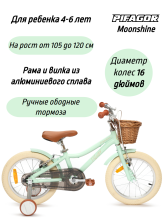 фото Велосипед Pifagor Moonshine 16 интернет-магазина bikedivision