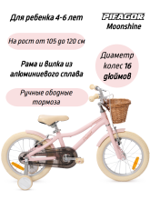 фото Велосипед Pifagor Moonshine 16 интернет-магазина bikedivision