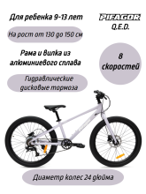 фото Велосипед Pifagor Q.E.D. 24 интернет-магазина bikedivision