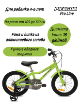фото Велосипед Pifagor ProLine 16 интернет-магазина bikedivision