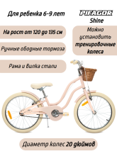 фото Велосипед Pifagor Shine 20 интернет-магазина bikedivision