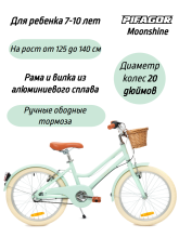 фото Велосипед Pifagor Moonshine 20 интернет-магазина bikedivision