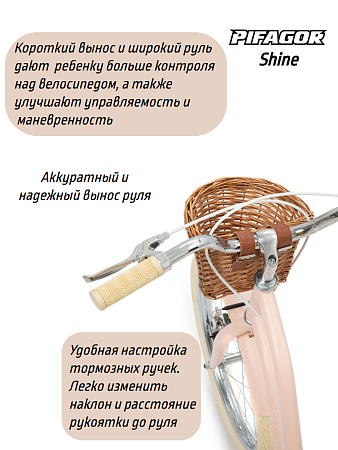 фото Велосипед Pifagor Shine 20 