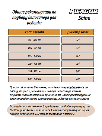 фото Велосипед Pifagor Shine 20 