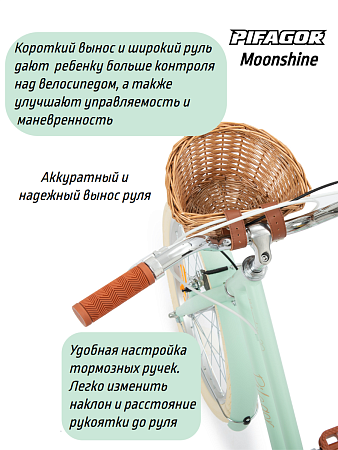 фото Велосипед Pifagor Moonshine 20 