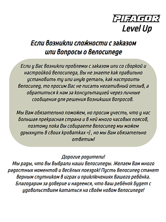 фото Велосипед Pifagor Level Up 24 