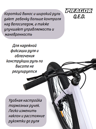 фото Велосипед Pifagor Q.E.D. 24 