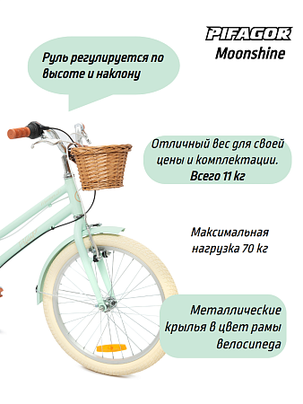 фото Велосипед Pifagor Moonshine 20 
