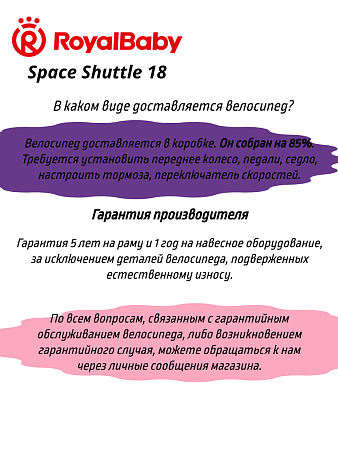 фото Велосипед Royal Baby Space Shuttle 18 
