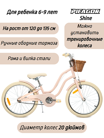 фото Велосипед Pifagor Shine 20 