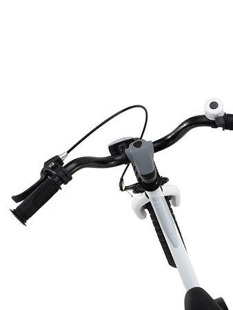 фото Велосипед Royal Baby Freestyle Steel 16 