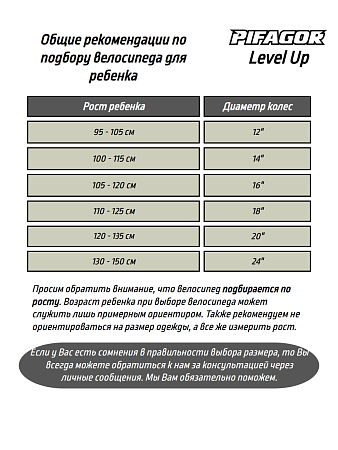 фото Велосипед Pifagor Level Up 24 