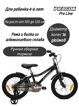 картинка Велосипед Pifagor ProLine 16 в bikedivision фото Велосипед Pifagor ProLine 16