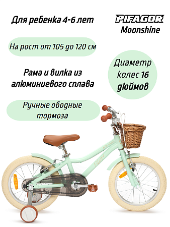 фото Велосипед Pifagor Moonshine 16 