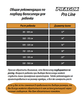 картинка Велосипед Pifagor ProLine 16 в bikedivision фото Велосипед Pifagor ProLine 16