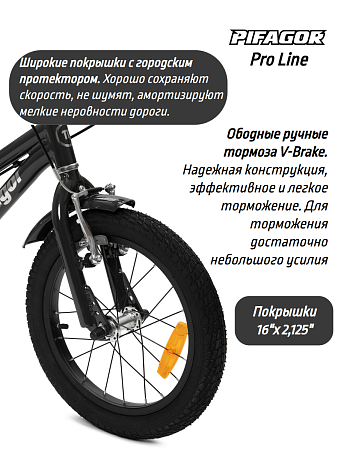 картинка Велосипед Pifagor ProLine 16 в bikedivision фото Велосипед Pifagor ProLine 16