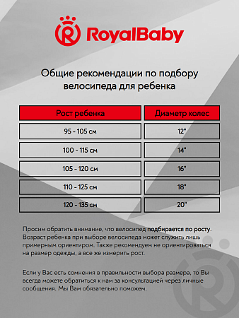 фото Велосипед Royal Baby Freestyle Steel 14 