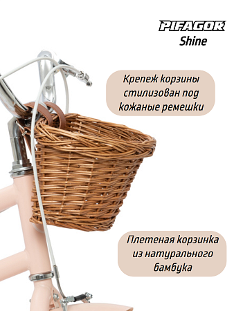 фото Велосипед Pifagor Shine 20 