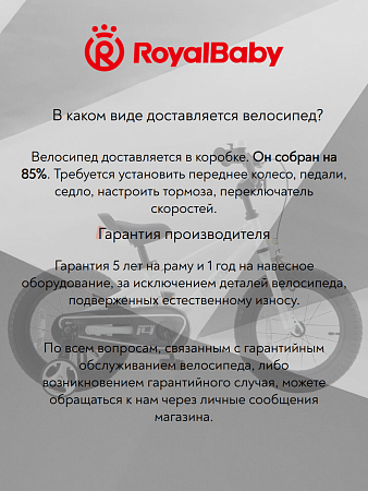 фото Велосипед Royal Baby Freestyle Steel 14 