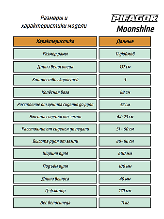 фото Велосипед Pifagor Moonshine 20 