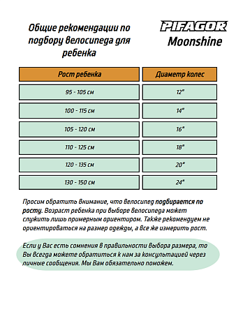 фото Велосипед Pifagor Moonshine 20 