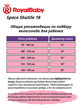 фото Велосипед Royal Baby Space Shuttle 18 