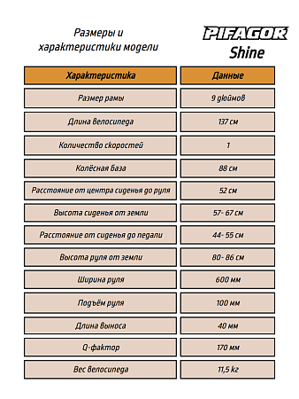 фото Велосипед Pifagor Shine 20 