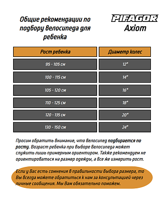 фото Велосипед Pifagor Axiom 20 
