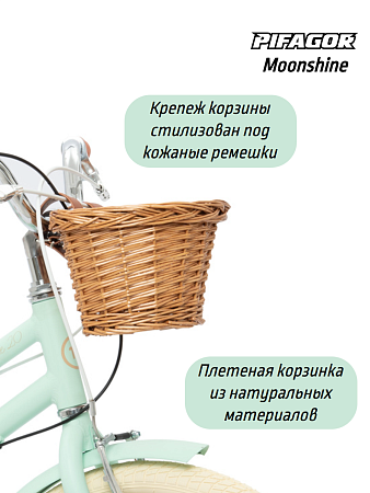 фото Велосипед Pifagor Moonshine 20 