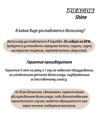 фото Велосипед Pifagor Shine 20 