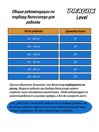 картинка Велосипед Pifagor Level 20 в bikedivision фото Велосипед Pifagor Level 20