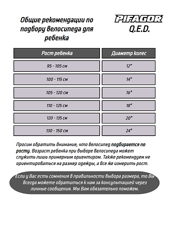 фото Велосипед Pifagor Q.E.D. 24 