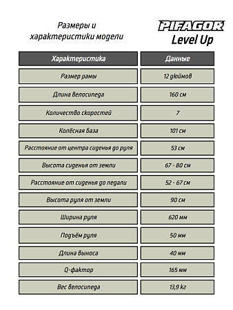 фото Велосипед Pifagor Level Up 24 