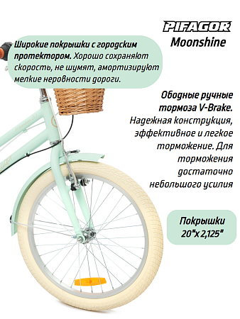 фото Велосипед Pifagor Moonshine 20 