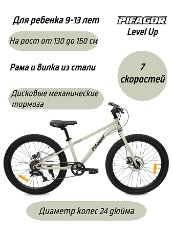 фото Велосипед Pifagor Level Up 24 