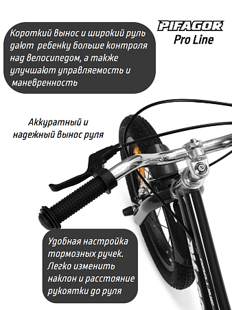 картинка Велосипед Pifagor ProLine 16 в bikedivision фото Велосипед Pifagor ProLine 16