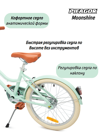 фото Велосипед Pifagor Moonshine 20 