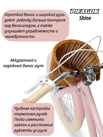 фото Велосипед Pifagor Shine 18 