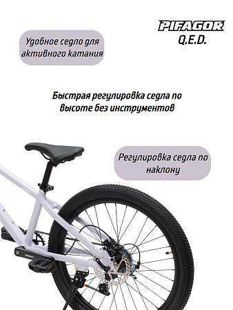 фото Велосипед Pifagor Q.E.D. 24 