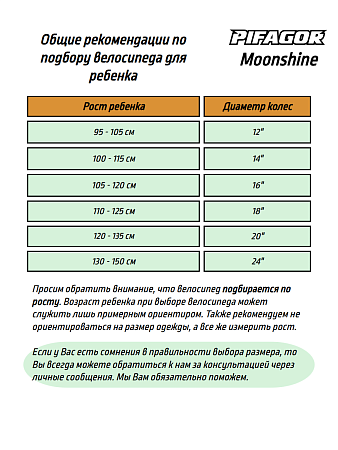 фото Велосипед Pifagor Moonshine 16 