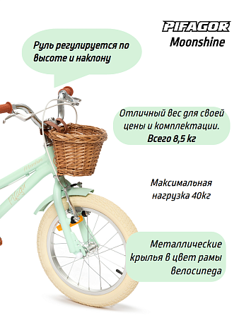 фото Велосипед Pifagor Moonshine 16 