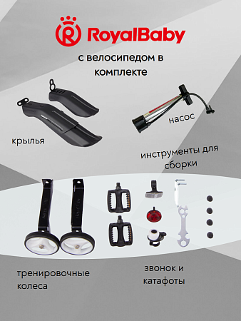 фото Велосипед Royal Baby Freestyle Steel 12 