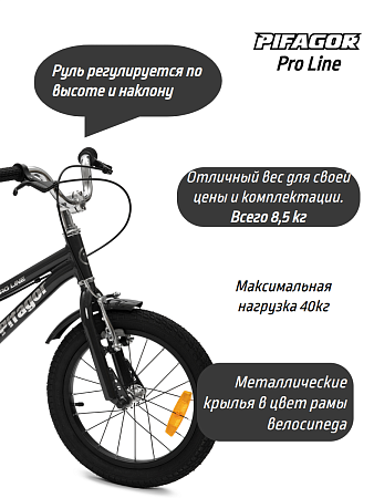 картинка Велосипед Pifagor ProLine 16 в bikedivision фото Велосипед Pifagor ProLine 16