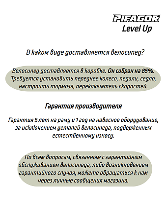 фото Велосипед Pifagor Level Up 24 
