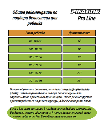 фото Велосипед Pifagor ProLine 16 