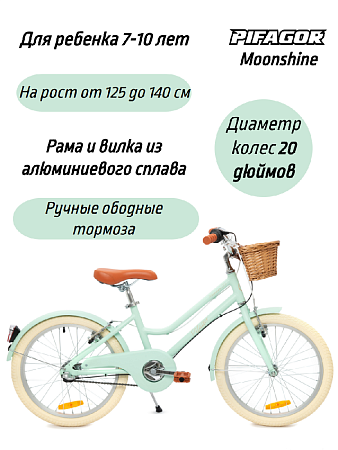 фото Велосипед Pifagor Moonshine 20 