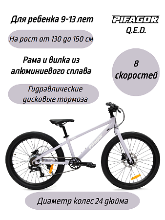 фото Велосипед Pifagor Q.E.D. 24 